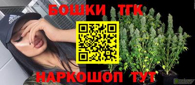 сатива Будённовск
