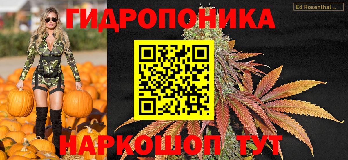 Шишки марихуана White Widow  Вход с VPN  Каннабис индика  Марихуана план  Ярцево  Бошки марихуана AK-47 